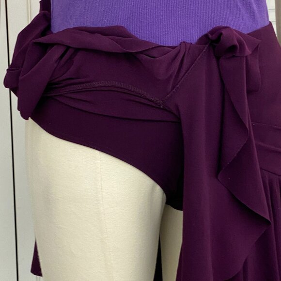Short Dance Full Skirt Sz. S Violet Purple with Dance Pants Unbranded - Picture 6 of 10